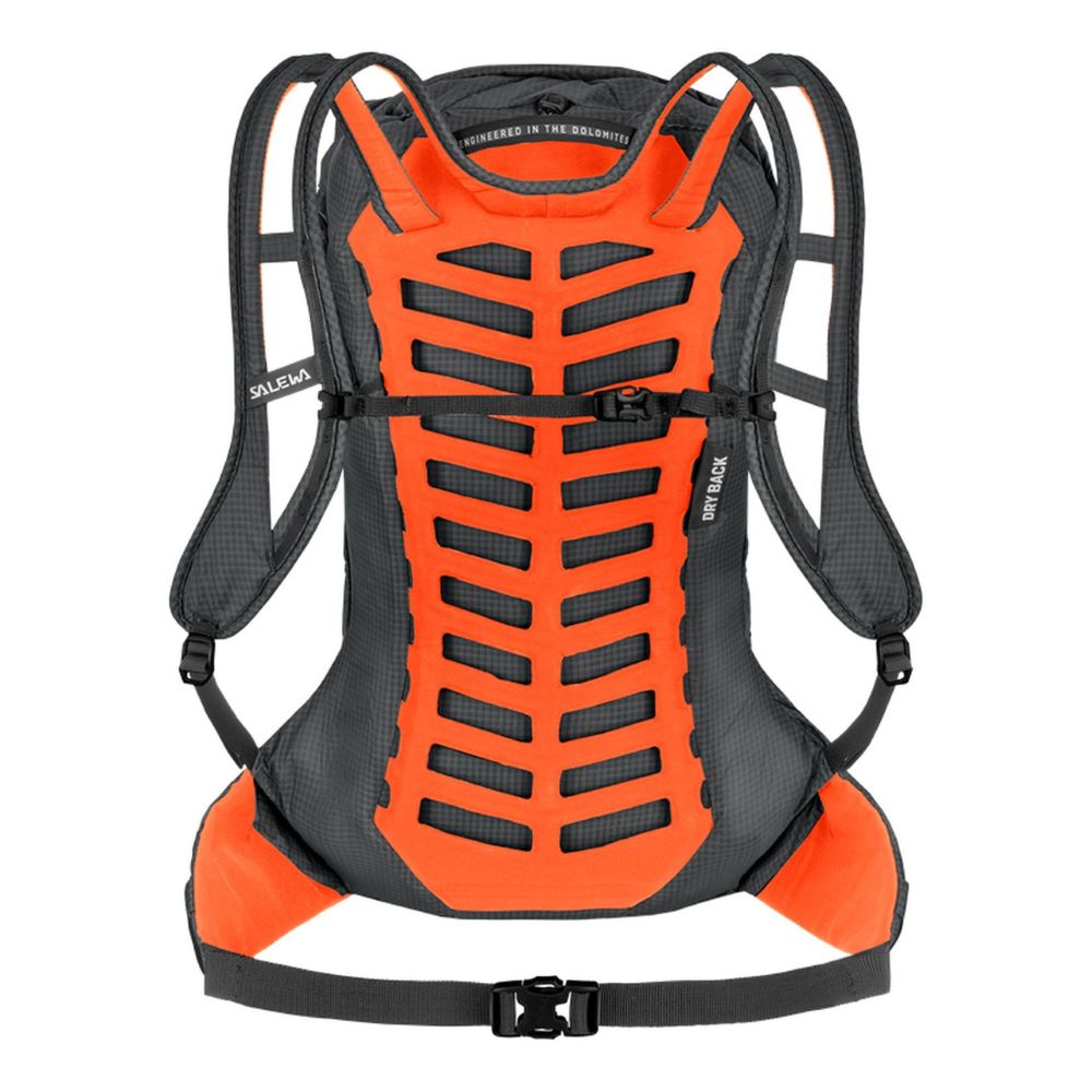 Salewa Pedroc Pro 22L Backpack