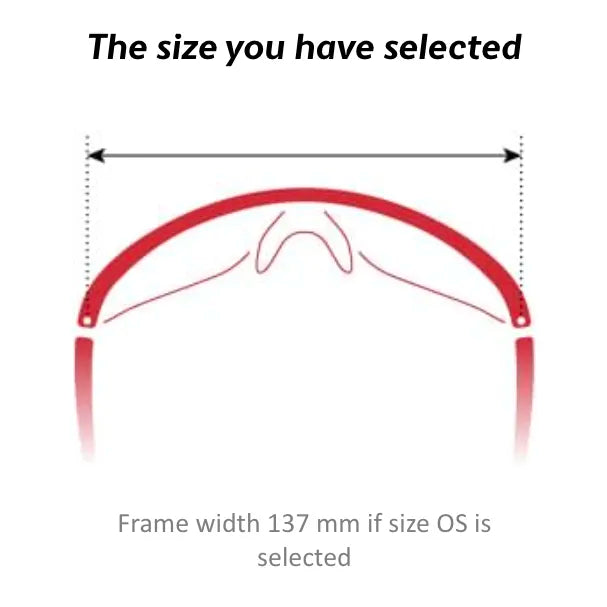 Evil Eye Vistair D Photochromic (1 size) Champagne