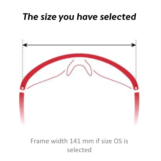 Evil Eye Vistair-X LST  Photochromic (1 size) Grey