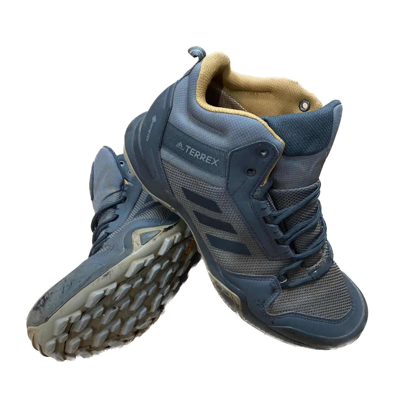 Adidas TERREX AX MID GTX UK7 | US7.5 | EU40.5 (68)