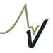 Vertigo Gear logo