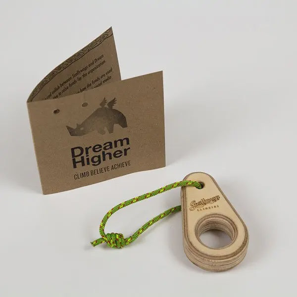 Scallywags DREAM HIGHER MONO